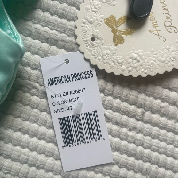 NWT Mint Green Formal Dress 4T - Picture 4 of 8